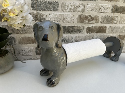 Aged grey dachshund dog - aged,