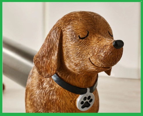 Next sausage dog dachshund - next,
